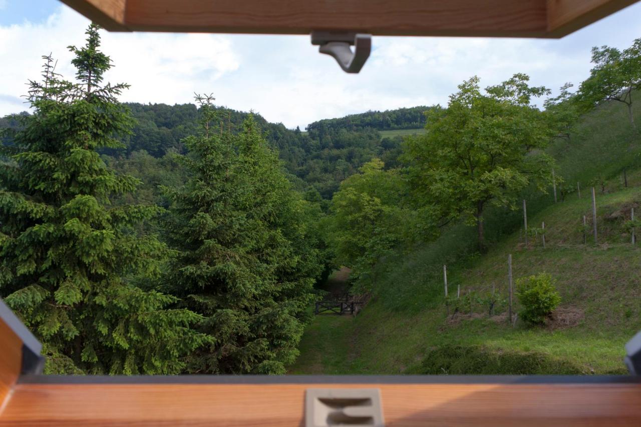 Pod Orehi Guest House Loče pri Poljčanah Cameră foto
